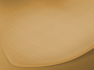 学习市场策略的最短路径是什么
